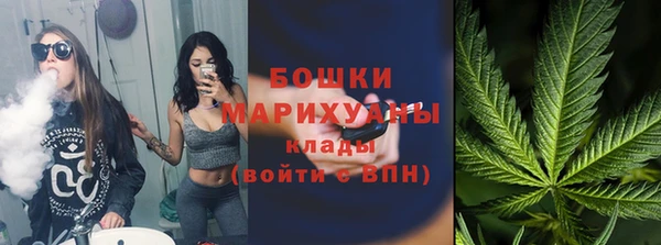 сатива Аксай