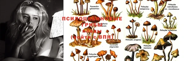 гашик Медвежьегорск