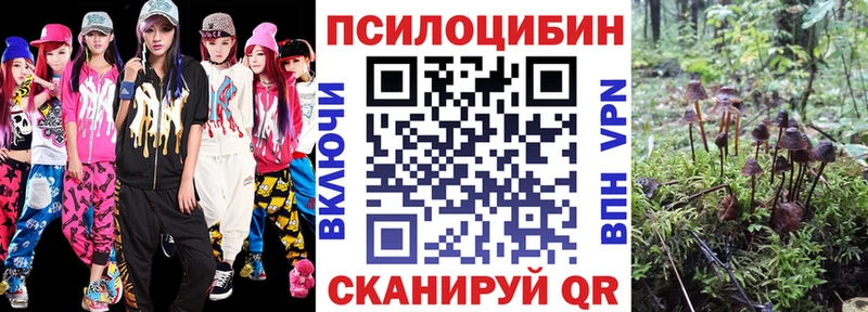 Галлюциногенные грибы Psilocybe  blacksprut   это состав  где продают   Янаул 